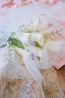 Noelle1-46