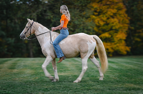 bella1-37