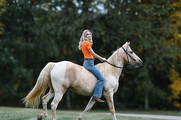 bella2-44