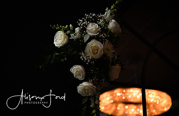 Jimena112024-11