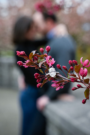 em&K11702025
